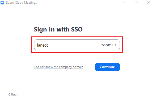 zoom company domain text field highlighted
