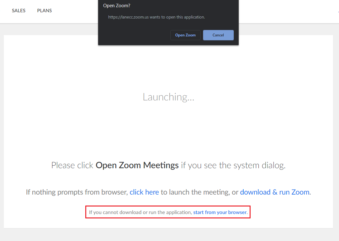 open zoom meeting window with start from your browser link highlighted