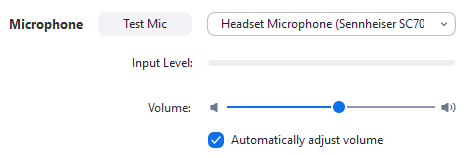 zoom settings microphone options showing test mic, input level, and volume