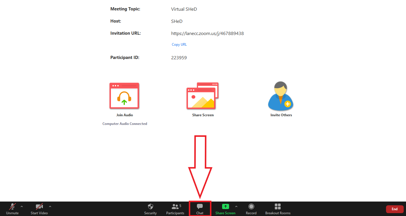 zoom meeting window with chat button highlighted
