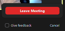 The image shows the leave meeting button