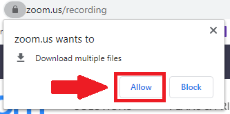 browser notification to download multiple files with allow button highlighted