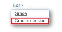 Edit options shown with grant extension highlighted in red