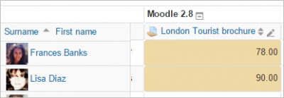 Image of the moodle gradebook with successfully added grades.