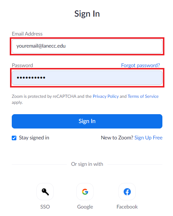 Zoom sign in window with email and password text fields highlighted