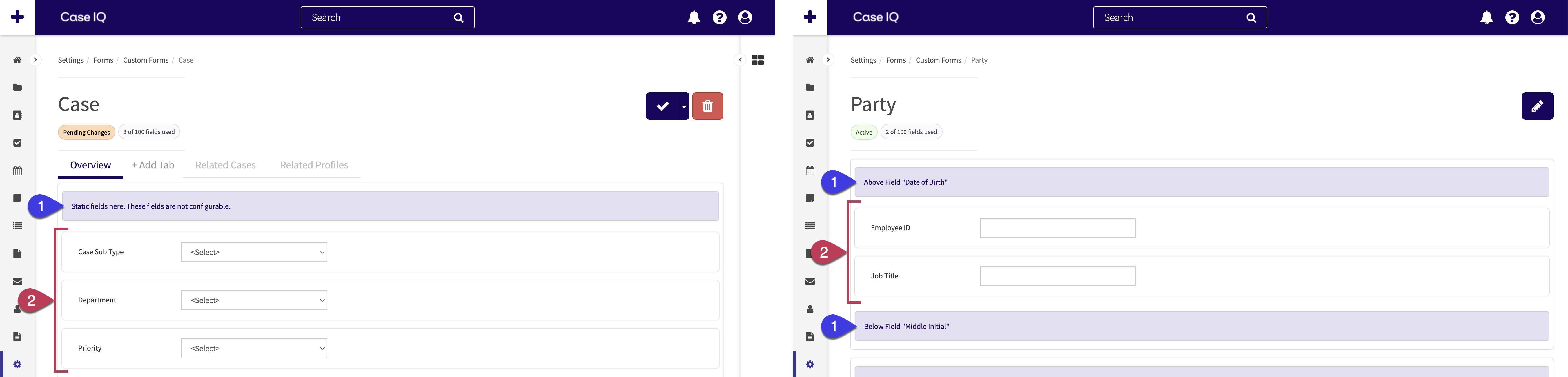 Dynamic and static fields on the case and party form layouts.