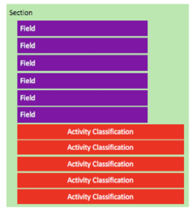 Fields and Activity Classifications with a Section