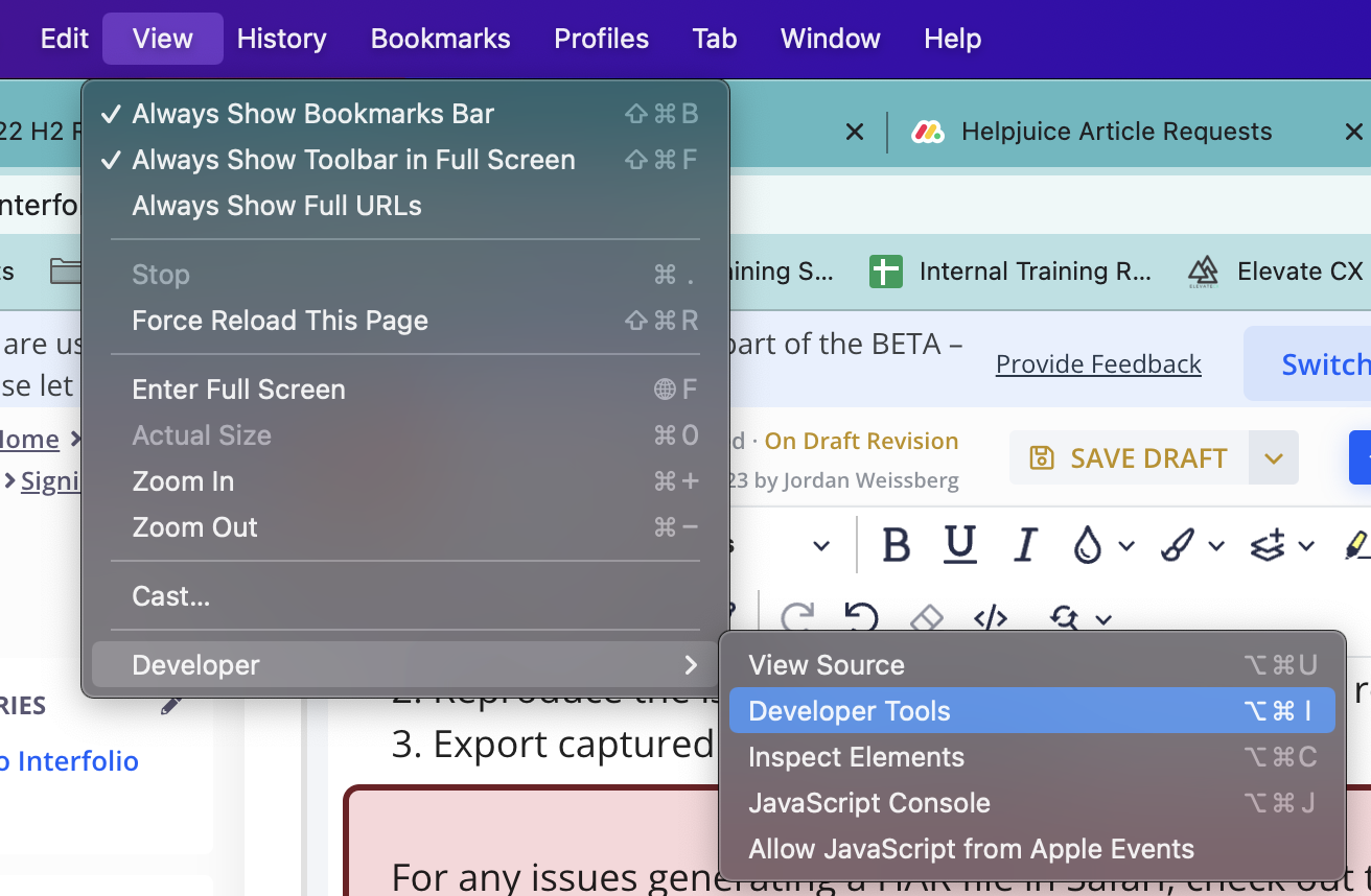 View tab dropdown shown with Developer dropdown selected and Developer Tools selected