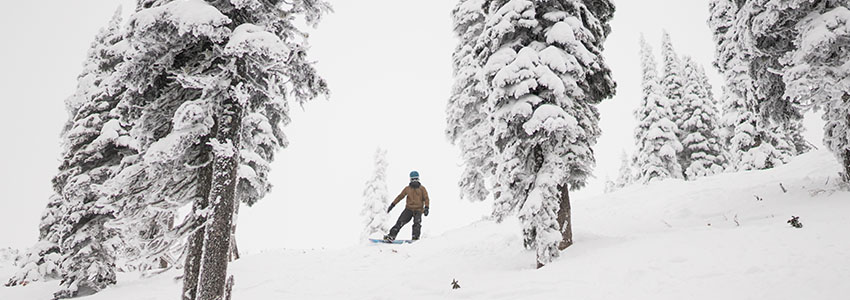 Guy traversing through trees on snowboard