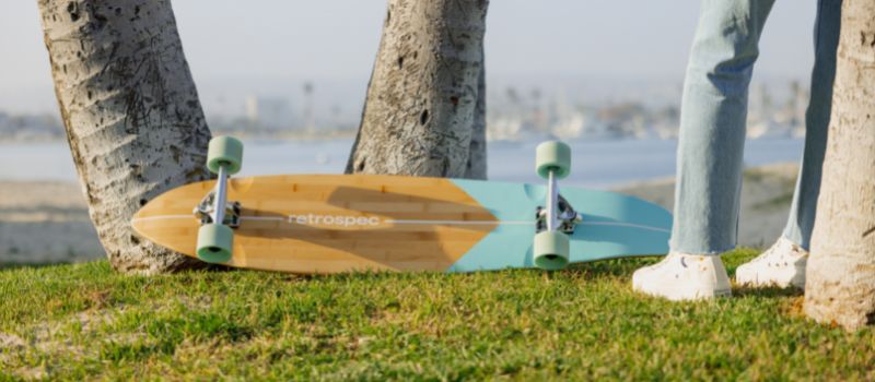 longboard with a wood deck and aqua accent design propped up on a grass hill with palm trees