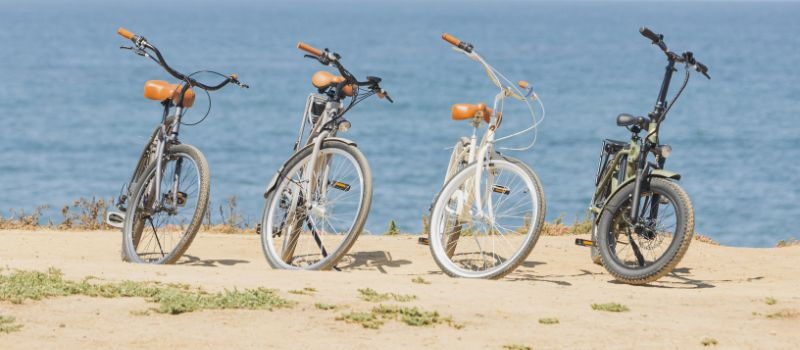 bikes and electric bikes lined up on a beachside trail 