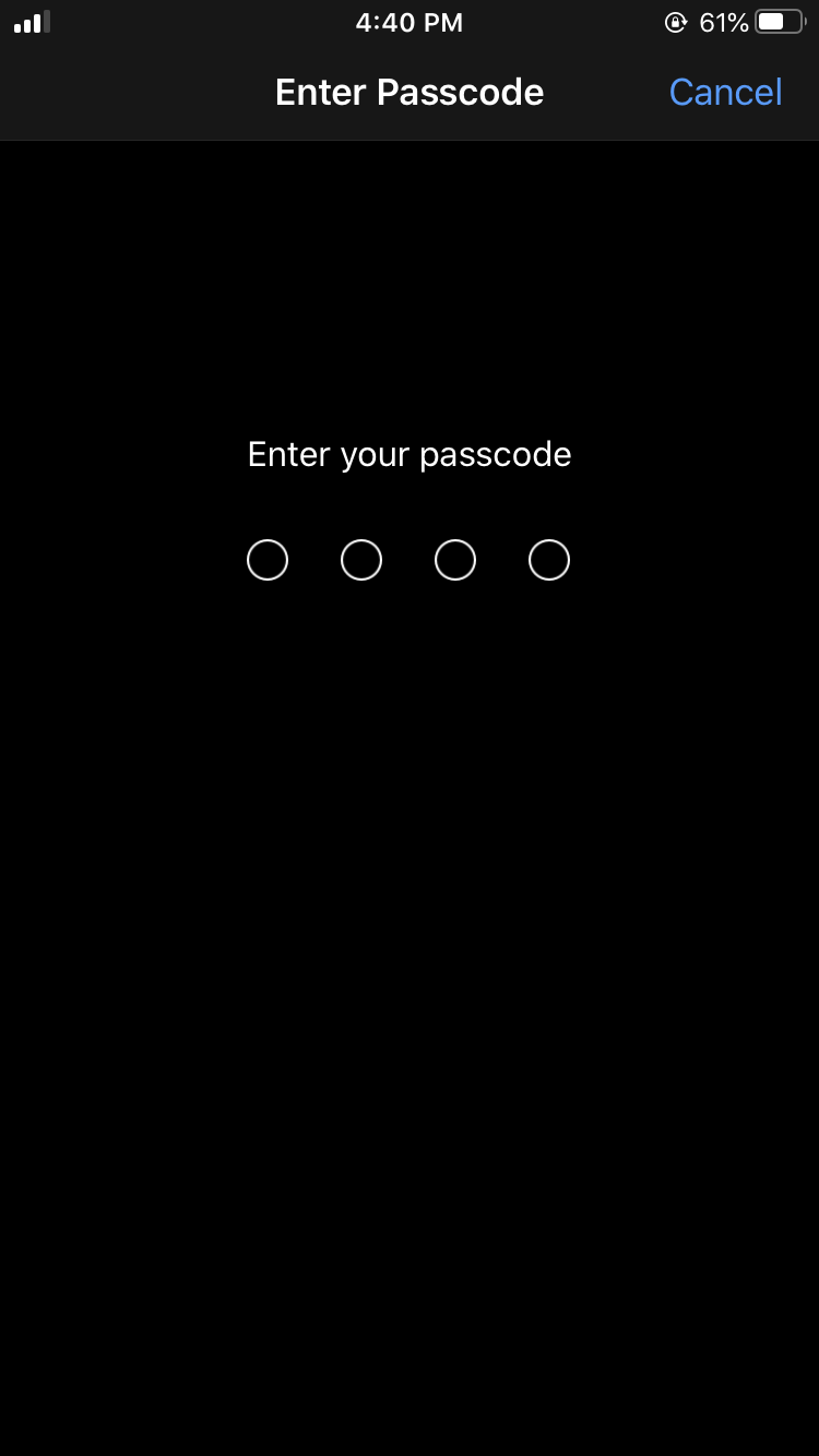 Enter the Passcode on iPhone