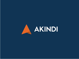 Akindi Brand Identity | Typographic logo design, Brand identity, Identity