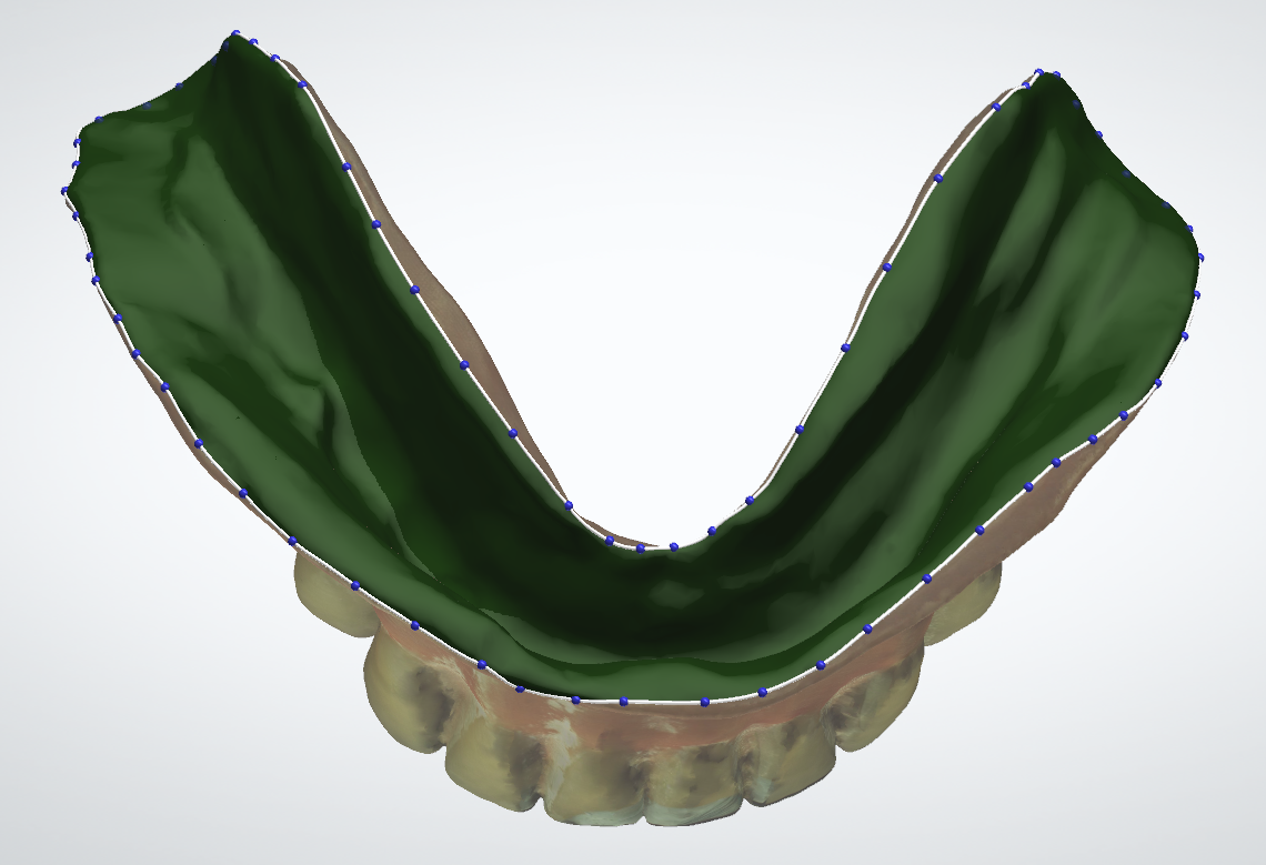 A model of a human teeth

Description automatically generated