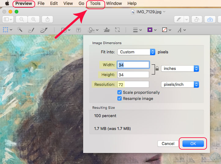 resize an image for the web on mac