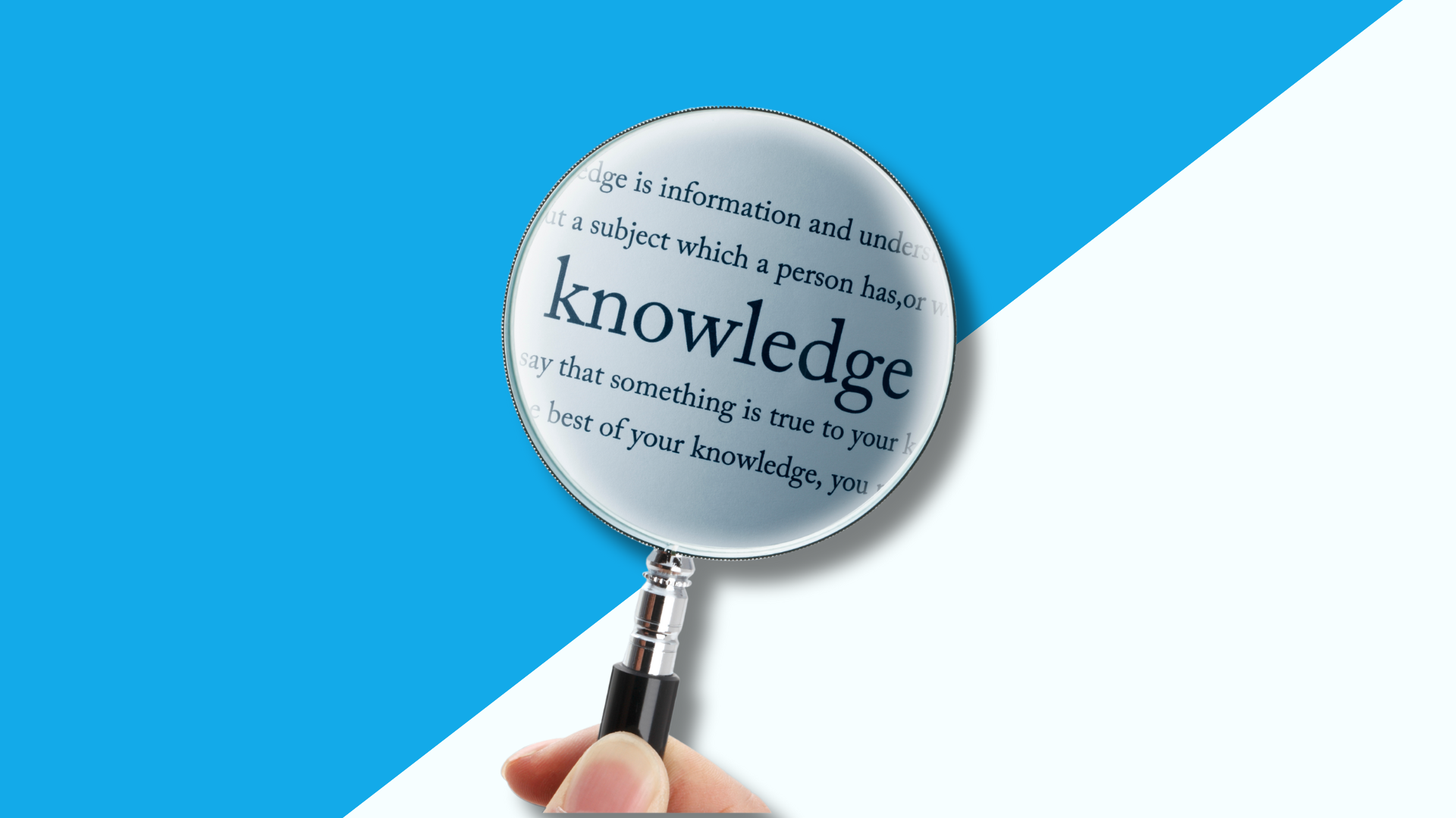 Knowledge Base Software Buying Guide: Everything to Know in 2024