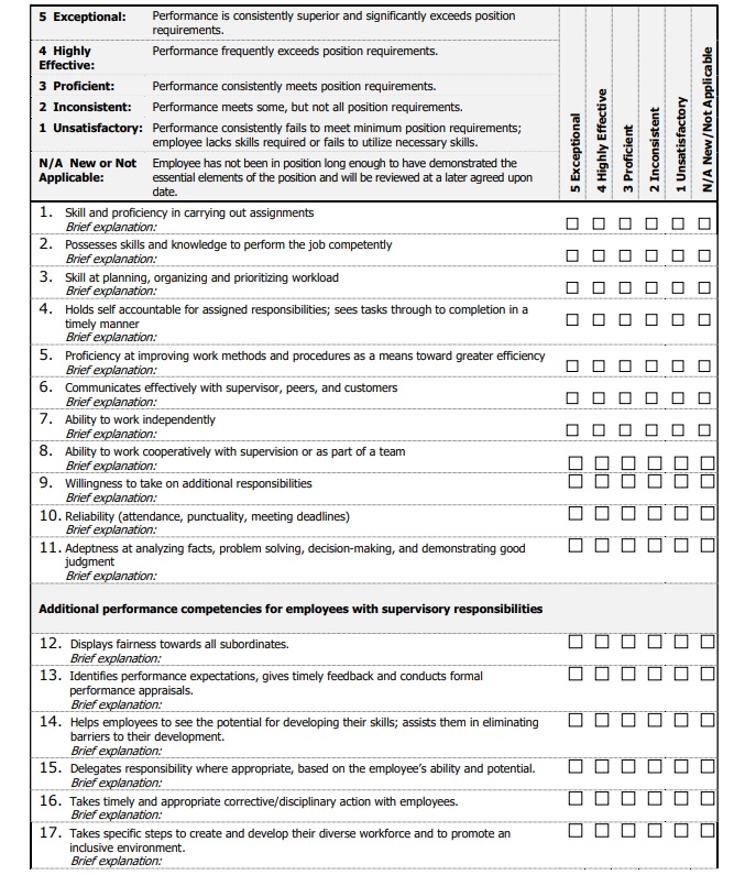 Sample Performance Review Numerical Scale Form