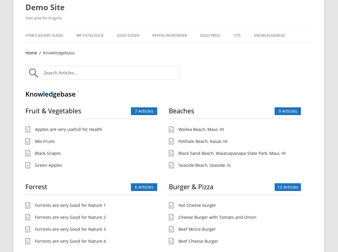 Screenshot WP Knowledgebase Plugin