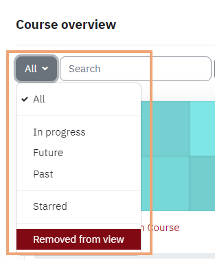 Screenshot highlighting course filter menu with Removed from view selected