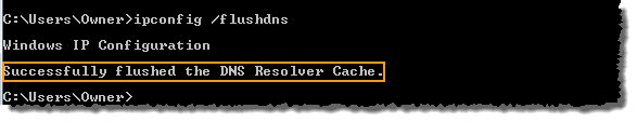 Example Windows Command Prompt Showing Successful DNS Cache Flush