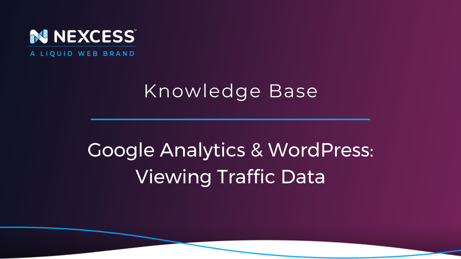 Google Analytics & WordPress: Viewing Traffic Data