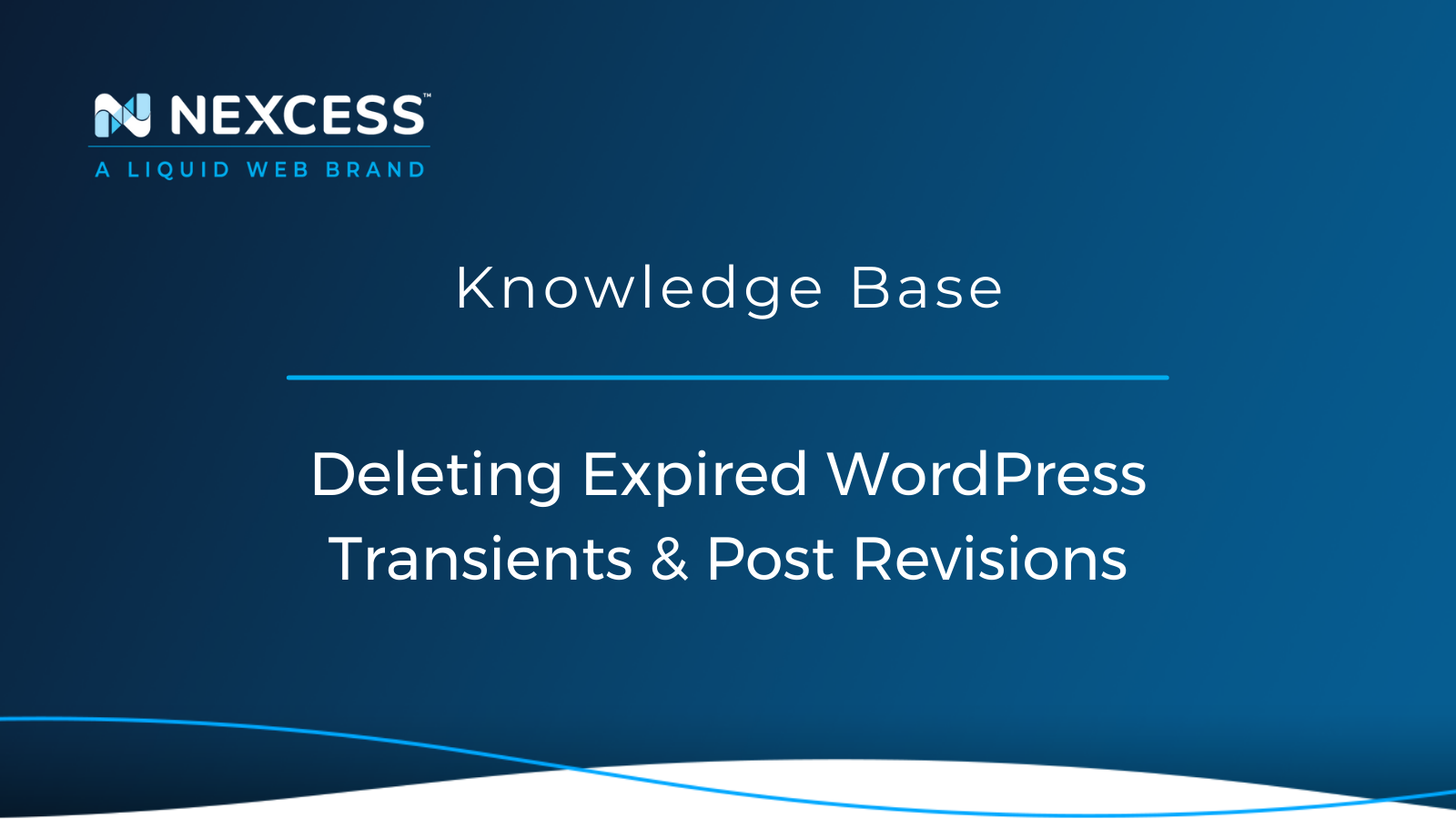 Deleting Expired WordPress Transients & Post Revisions