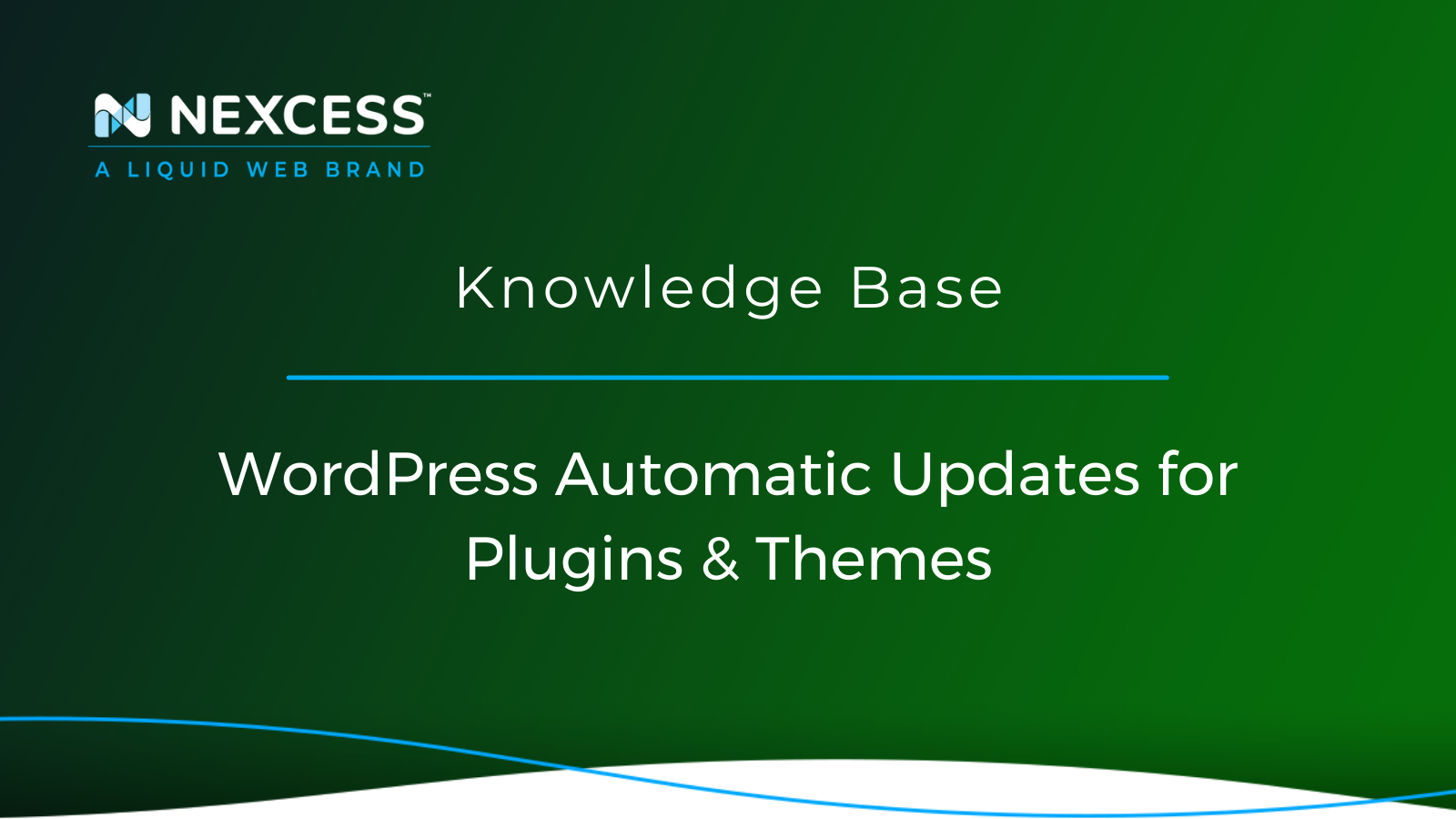 WordPress Automatic Updates for Plugins & Themes