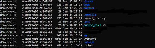 ogs in var (var logs) are the same as what you can view in the log folder in /home/username