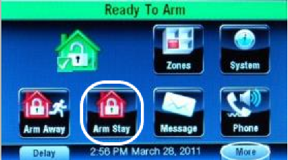 arm stay