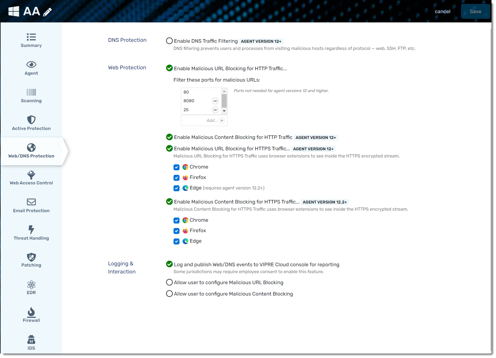 Screenshot: Web and DNS Protection options