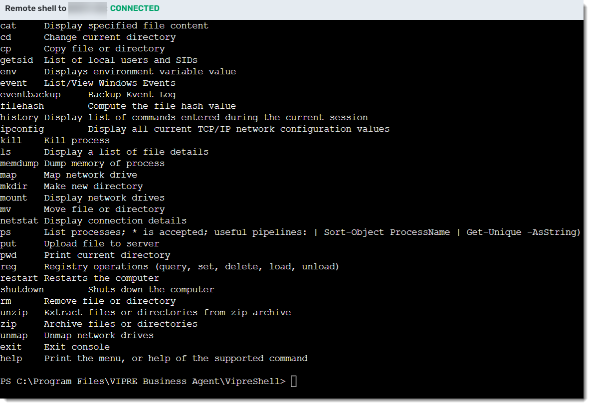 Screenshot: Remote Shell commands