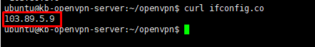 Implementasi vpn client to site menggunakan openvpn