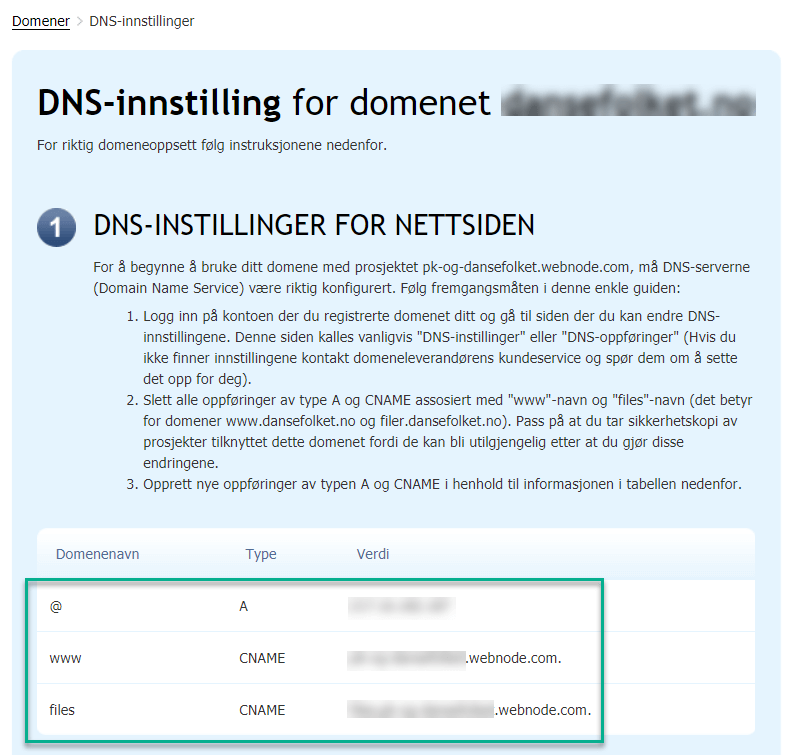 DNS-innstillinger for nettsiden