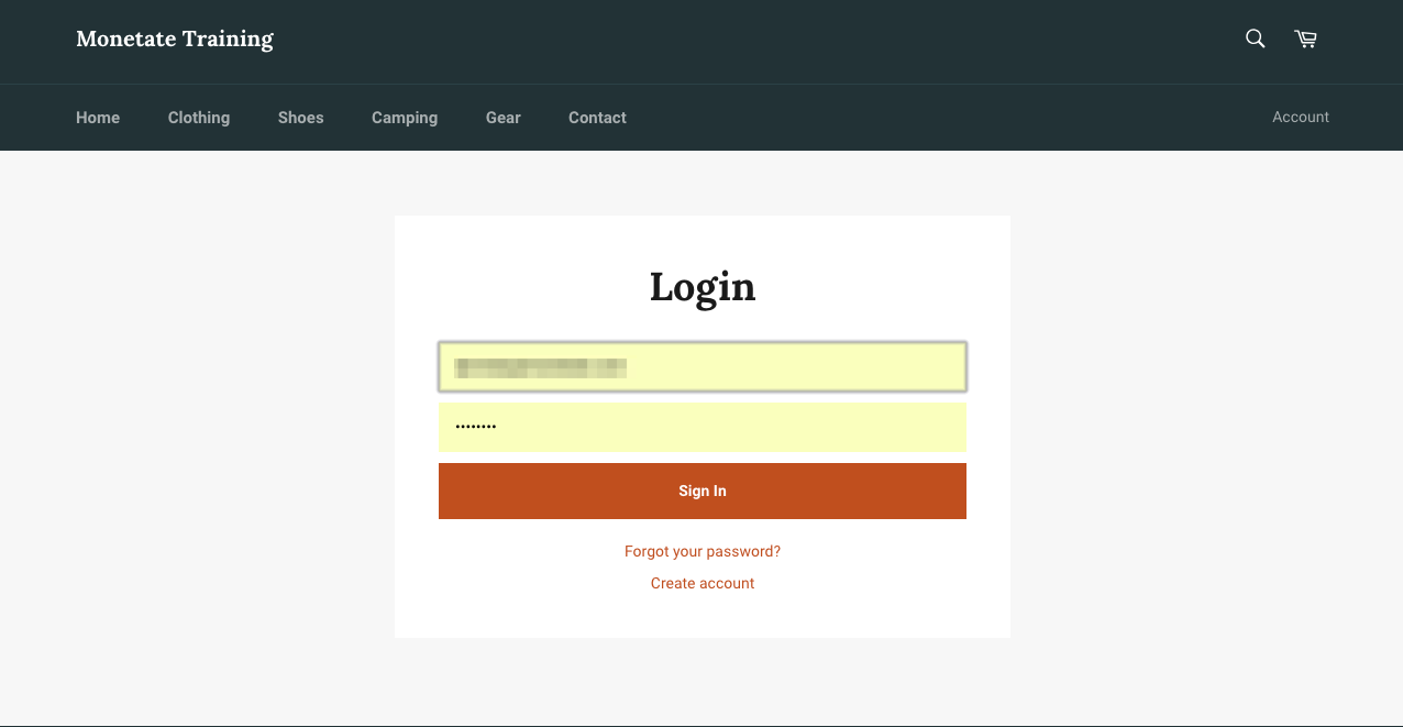 View of the login screen on a retailer's site