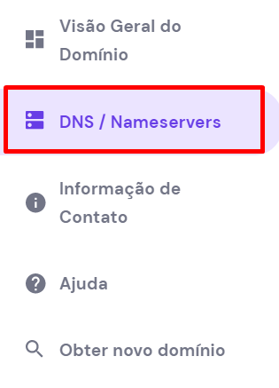 Acessar a zona DNS do painel, com o botão "DNS / Nameservers"