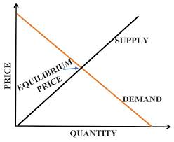 supply and demand analysis in business plan