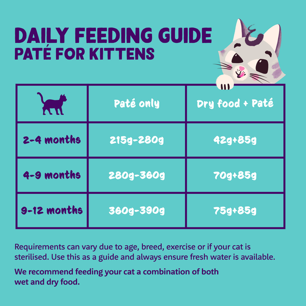 Feeding Your Kitten Helpful Kitten Feeding Schedules And Charts ...