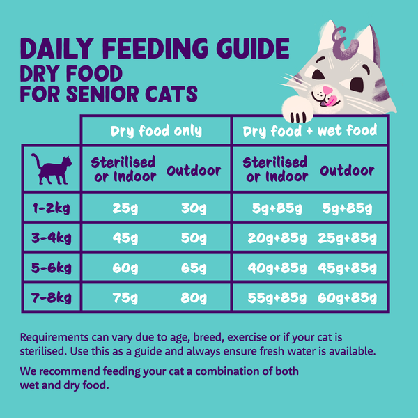 Kitten Food Feeding Chart