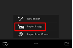Import Image in the Gallery