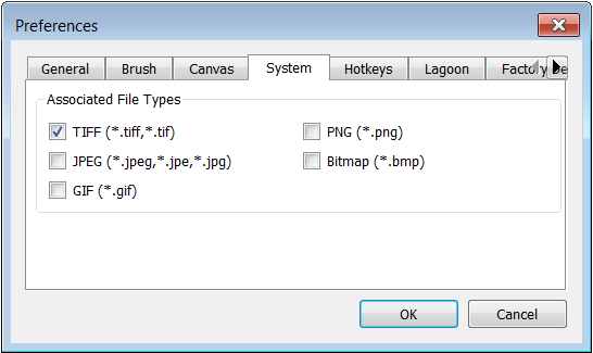 System tab in the Sketchbook Pro desktop preferences