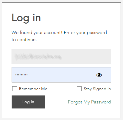 A screenshot of a login form
            Description automatically generated